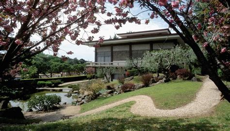 Il Giardino Giapponese di Cebu: Un Oasi di Pace e Tranquillità nel Cuore della Città!