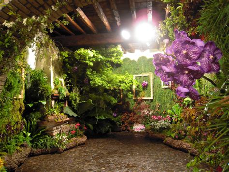  Il Giardino delle Orchidee: Un Sogno di Colori e Profumi Incantevoli!