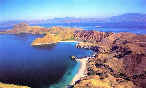  Taman Nasional Komodo: Un parco naturale incredibile dove si incontrano dinosauri viventi!