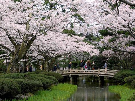 Il Kenrokuen: Un Giardino Incancellabile di Bellezza e Tranquillità!